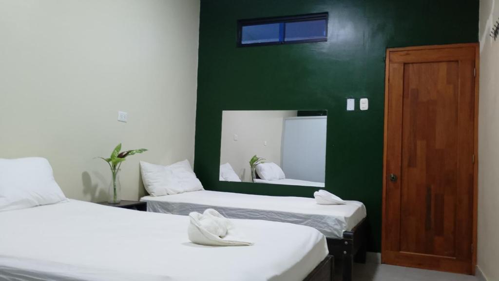 Green Amazon Lodging