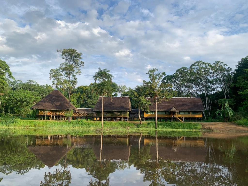 Ayahuasca Eco Tours
