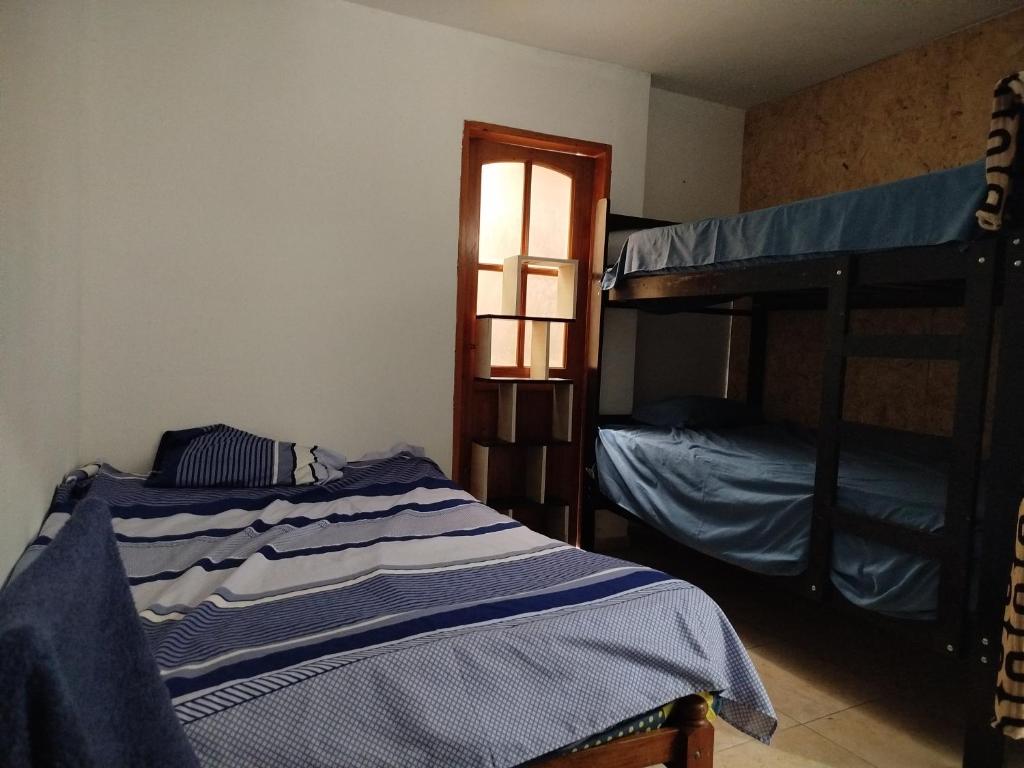 Curvita surf house economica