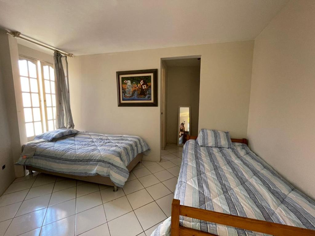 DISORO Hostel - Jiu jitsu academy