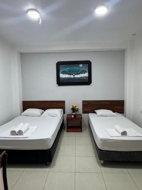 IGUANA HAUS IQUITOS